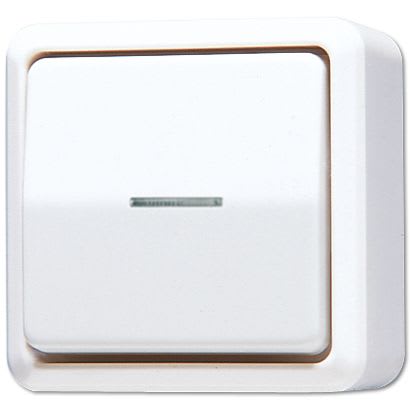 Jung - Interrupteur à témoInterrupteur 10 AX 250 V ~ / AP 600 Blanc