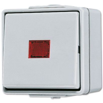 Jung - Inter à témoin 10 AX 250 V ~ / WG 600 Gris