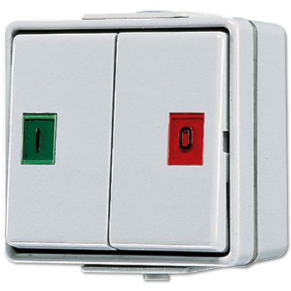 Jung - Double Bouton Poussoir  10 AX 250 V ~ / WG 600