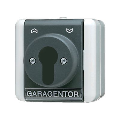 Jung - Interrupteur à clé IP 44 sailie / WG 800 Gris