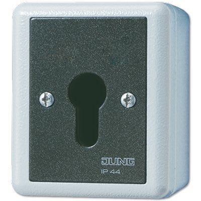 Jung - Interrupteur à clé IP 44 sailie / WG 800 Gris