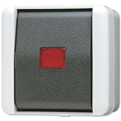 Jung - Interrupteur Va et Vient à témoin 10 AX 250 V ~ / WG 800