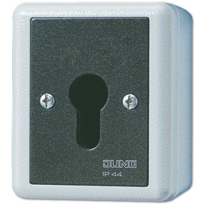 Jung - Interrupteur à clé IP 44 sailie / WG 800 Gris