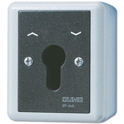 Jung - Interrupteur à clé IP 44 sailie / WG 800 Gris