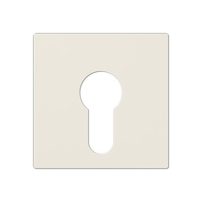 Jung - Enjoliveur pour IN et BP à clé version plate / A 500 Ivoire