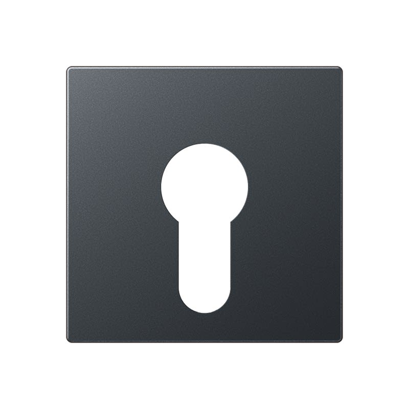 Jung - Enjoliveur pour IN et BP à clé version plate / A 500 Anthracite