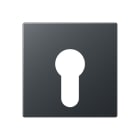 Jung - Enjoliveur pour IN et BP à clé version plate / A 500 Anthracite