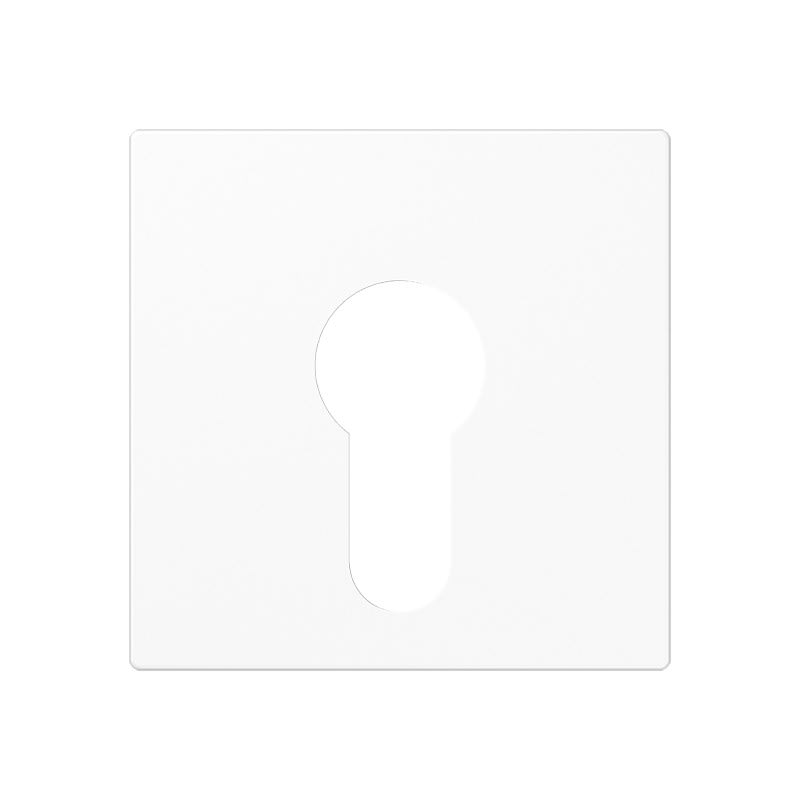 Jung - Enjoliveur pour IN et BP à clé version plate / A 500 Blanc