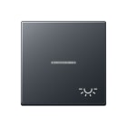 Jung - Enjoliveur avec symbole "lumière" à voyant / Série A 500 Anthracite