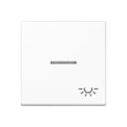 Jung - Enjoliveur avec symbole "lumière" à voyant / Série A 500 Blanc