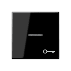 Jung - Enjoliveur avec symbole "gâche" à voyant / Série A 500 Noir