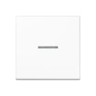 Jung - Enjoliveur simple touche à voyant / Série A 500 Blanc