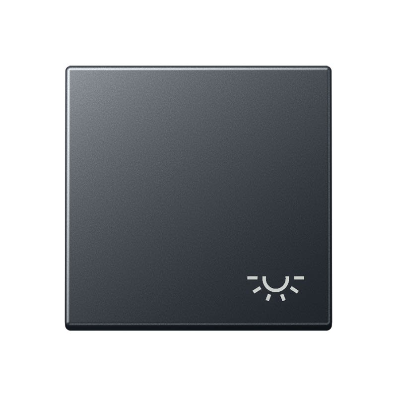 Jung - Enjoliveur avec symbole "lumière" / Série A 500 Anthracite