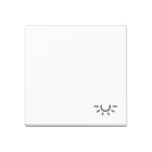 Jung - Enjoliveur avec symbole "lumière" / Série A 500 Blanc