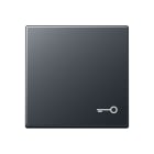 Jung - Enjoliveur avec symb "gâche" / Série A 500 Anthracite