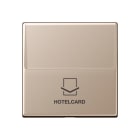 Jung - Enjoliveur Interrupteur Hotelcard / Série A 500 Champagne