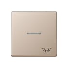 Jung - Enjoliveur avec symbole "lumière" à voyant / Série A 500 Champagne