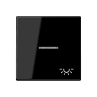 Jung - Enjoliveur avec symbole "lumière" à voyant / Série A 500 Noir