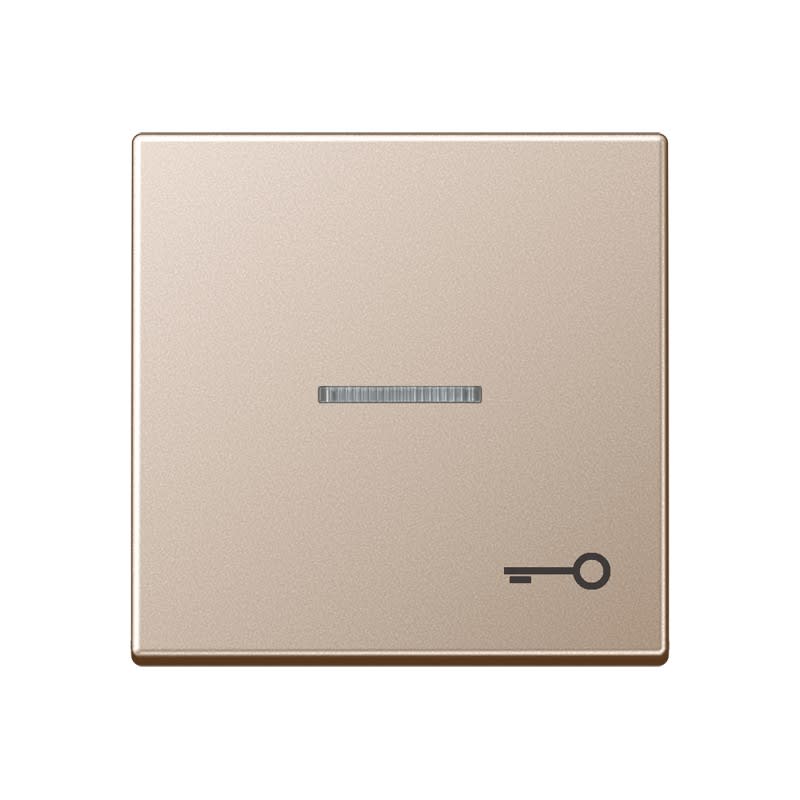 Jung - Enjoliveur avec symbole "gâche" à voyant / Série A 500 Champagne