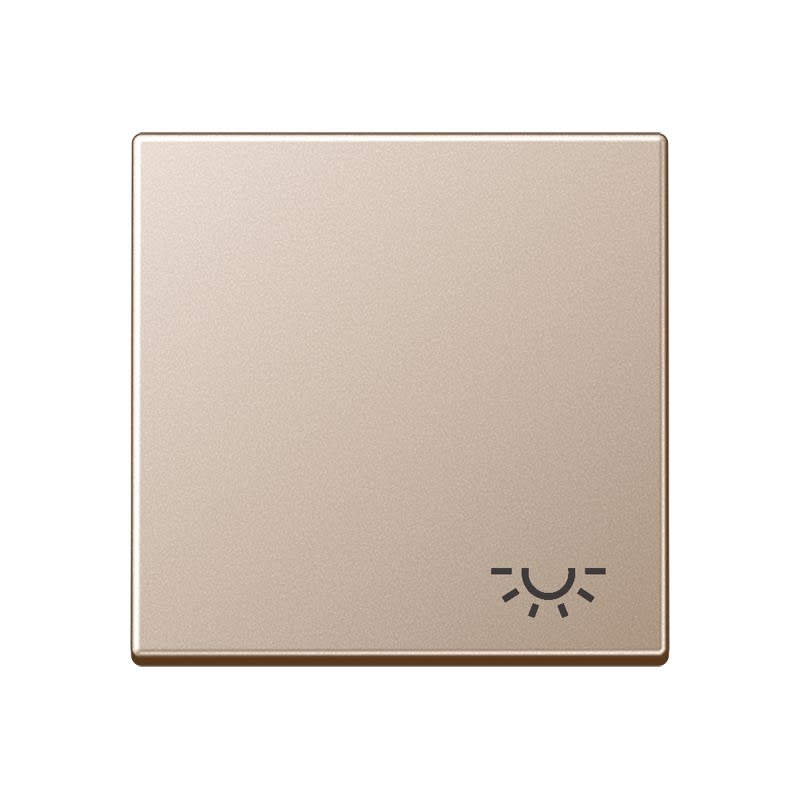 Jung - Enjoliveur avec symbole "lumière" / Série A 500 Champagne