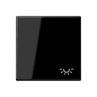 Jung - Enjoliveur avec symbole "lumière" / Série A 500 Noir