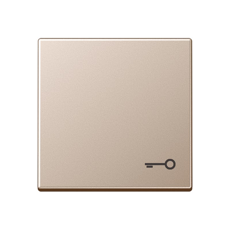 Jung - Enjoliveur avec symb "gâche" / Série A 500 Champagne