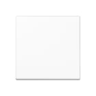 Jung - Enjoliveur simple touche / Série A 500 Blanc