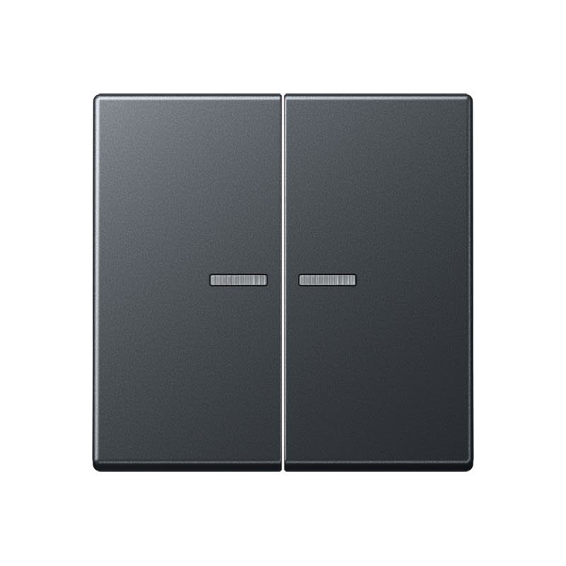 Jung - Enjoliveur double touche à voyant / Série A 500 Anthracite