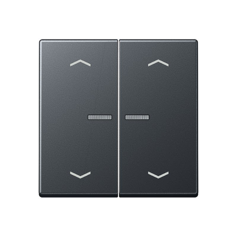 Jung - Enjo pour double IN et BP a voyant - A 500 Anthracite