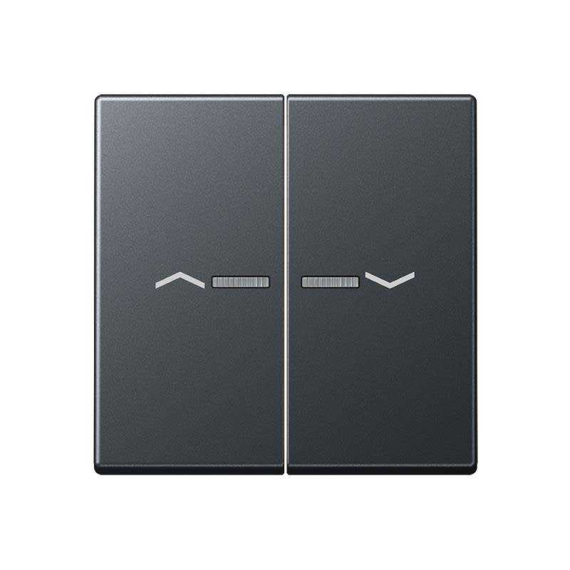 Jung - Enjo pour double IN et BP a voyant - A 500 Anthracite