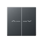 Jung - Enjo pour double IN et BP a voyant - A 500 Anthracite