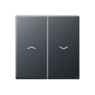 Jung - Enjoliveur double touche IN+BP VR-store / Série A 500 Anthracite