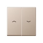 Jung - Enjoliveur double touche IN+BP VR-store / Série A 500 Champagne