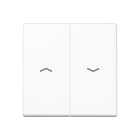 Jung - Enjoliveur double touche IN+BP VR-store / Série A 500 Blanc