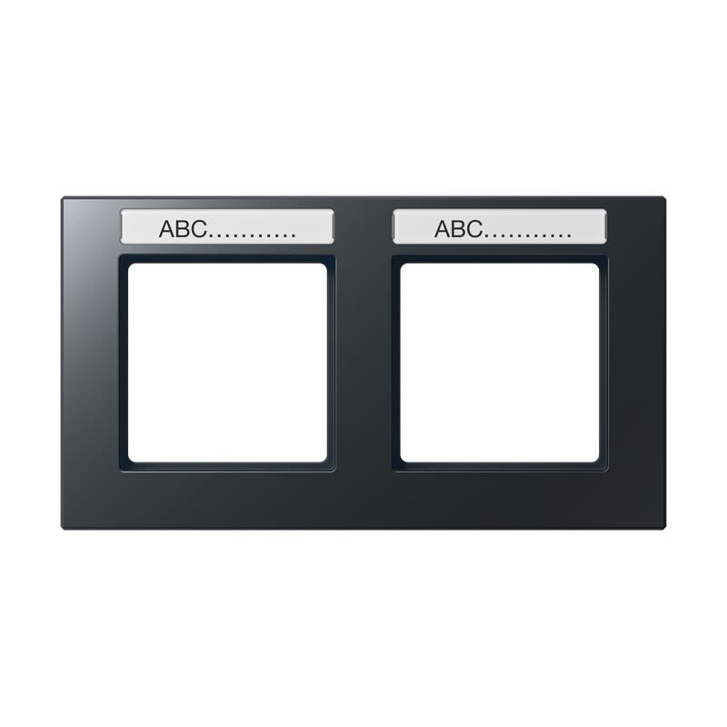 Jung - Cadre de finition 2 postes avec porte étiquette / Acréation Anthracite