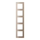 Jung - Cadre de finition 5 postes / Acréation Verre Champagne