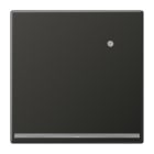 Jung - Dispositif lumineux d'orientation LED avec capteur / LS 990 Titane Anthracite