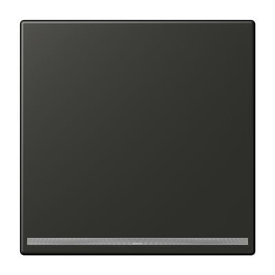 Jung - Dispositif lumineux d'orientation LED sans capteur / LS 990 Titane Anthracite