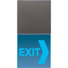 Jung - Signal lumineux LED "Information" bleu / LS 990 Titane Anthracite