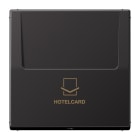 Jung - Enjoliveur interrupteur Hotelcard / LS 990 Dark Canon de Fusil