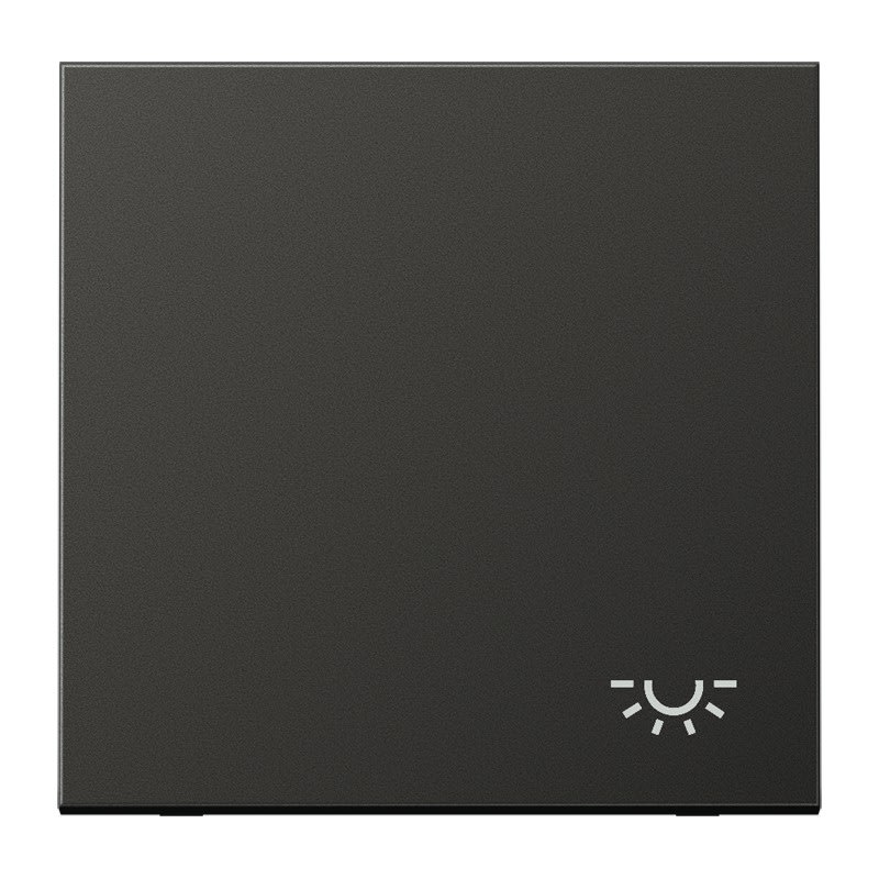 Jung - Enjo avec symbole "lumière" / LS 990 Titane Anthracite