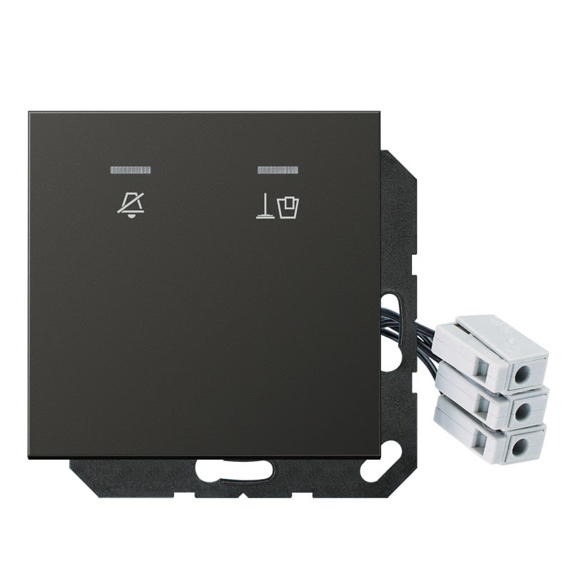 Jung - Enjoliveur Hôtel, poste extérieur 24 V / LS 990 Titane Anthracite