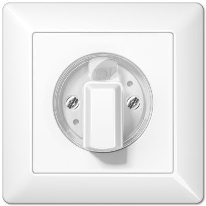 Jung - Enjoliveur pour interrupteur rotatif / AS 500 Blanc