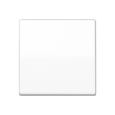 Jung - Enjo pour IN avec fixation à vis / Série AS 500 BF Blanc