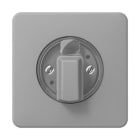 Jung - Enjoliveur pour interrupteur rotatif / CD 500 Gris