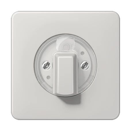Jung - Enjoliveur pour interrupteur rotatif / CD 500 Gris clair