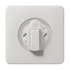 Jung - Enjoliveur pour interrupteur rotatif / CD 500 Gris clair
