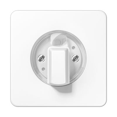 Jung - Enjoliveur pour interrupteur rotatif