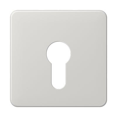 Jung - Enjoliveur pour IN et BP à clé plat / CD 500 Gris clair