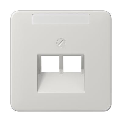 Jung - Enjoliveur pour prise IAE/UAE avec PE / CD 500 Gris clair
